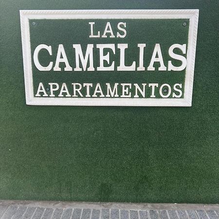 Yumbo Appartamenti Las Camelias Playa Del Ingles エクステリア 写真