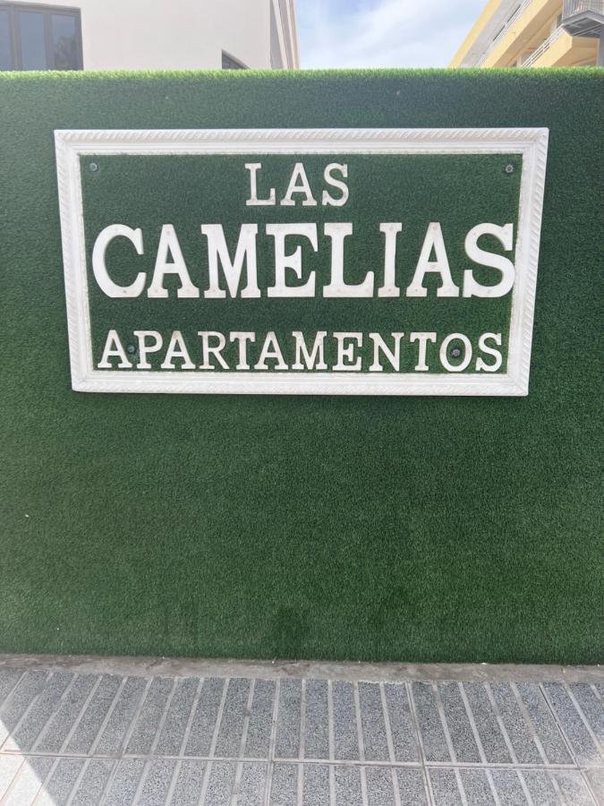 Yumbo Appartamenti Las Camelias Playa Del Ingles エクステリア 写真